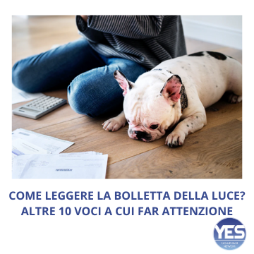 leggere-bolletta-luce-gas